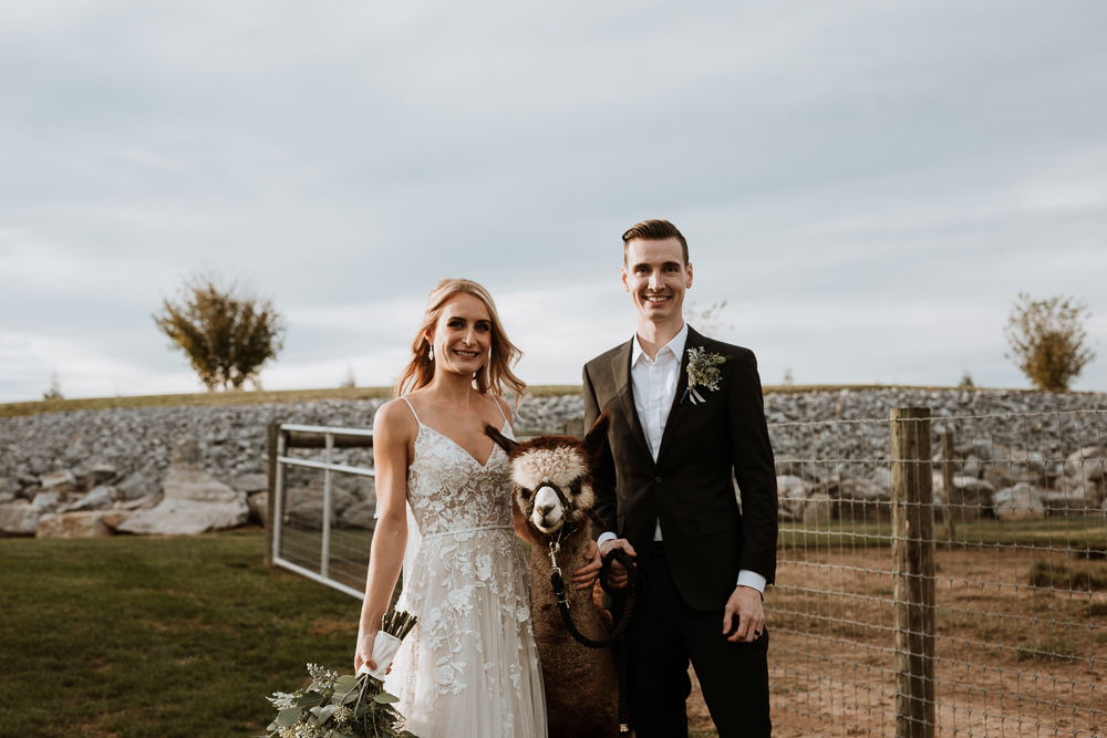 Elmwood wedding photo with alpaca 
